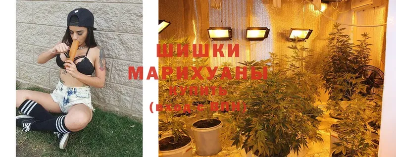 закладка  мега ТОР  сайты даркнета клад  Петровск-Забайкальский  Марихуана LSD WEED 